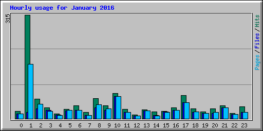 Hourly usage for January 2016