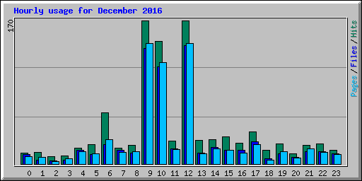 Hourly usage for December 2016