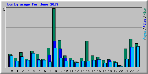 Hourly usage for June 2019